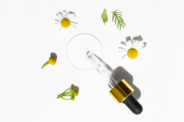 Pipette with transparent cosmetic liquid on a white background with chamomile flowers top view. Alternative medicine, homeopathy.