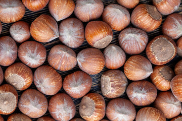 a pile of harvested hazelnuts on the table