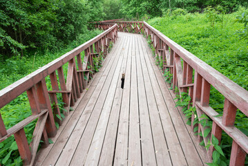 Obraz premium Wooden ecological path with a hole in the deck.