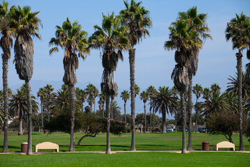 Coastal Parks & Recreation Beaches