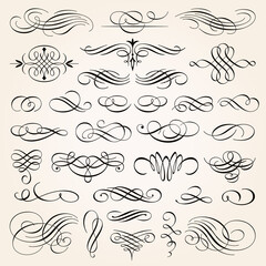 Vintage Calligraphic Design Elements Swirls Vignettes And Page Decoration 2 - obrazy, fototapety, plakaty