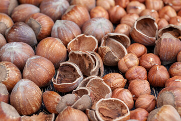 a pile of harvested hazelnuts on the table