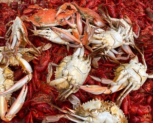 Southern crab and crawfish boil 