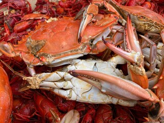 Southern crab and crawfish boil 