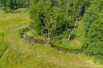 Mała wąska rzeka płynąca zakolami przez las. Brzegi porasta zielona trawa, w głębi znajduje się mieszany las. Jest słoneczny dzień. Zdjęcie zrobione z wysokości przy użyciu drona. - obrazy, fototapety, plakaty