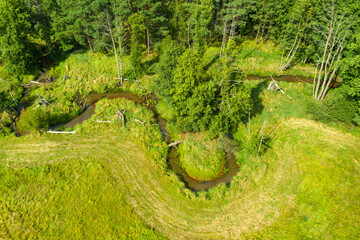 Mała wąska rzeka płynąca zakolami przez las. Brzegi porasta zielona trawa, w głębi znajduje się mieszany las. Jest słoneczny dzień. Zdjęcie zrobione z wysokości przy użyciu drona.