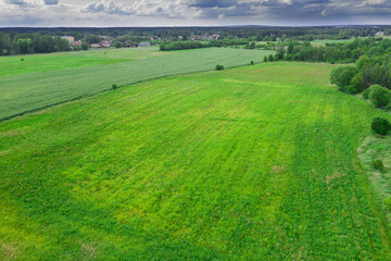 Rozległy, płaski teren pokryty zielonymi polami uprawnymi i łąkami. Widać polną drogę, kępy...