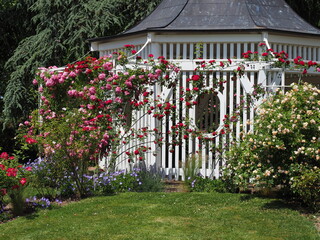 Rosengarten in Zweibrücken