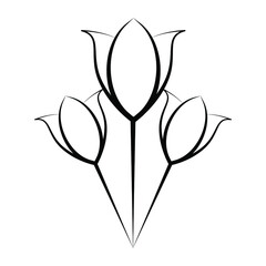 Three black tulips vector icon. Three tulips outline icon in black color. Logo concept for the flower industry.