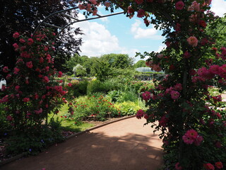 Rosengarten in Zweibrücken