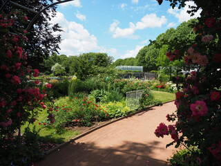 Rosengarten in Zweibrücken