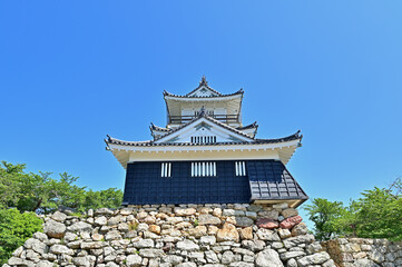 Fototapeta premium 浜松城天守閣 静岡県浜松市