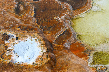 Canary Spring Terraces Mammoth Hot Springs Yellowstone National Park 