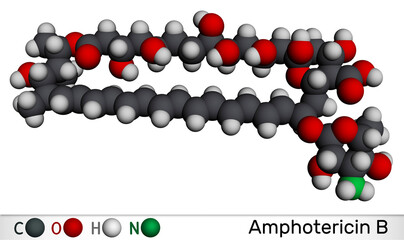 Amphotericin B molecule. It is antifungal used to treat fungal infections. Molecular model.