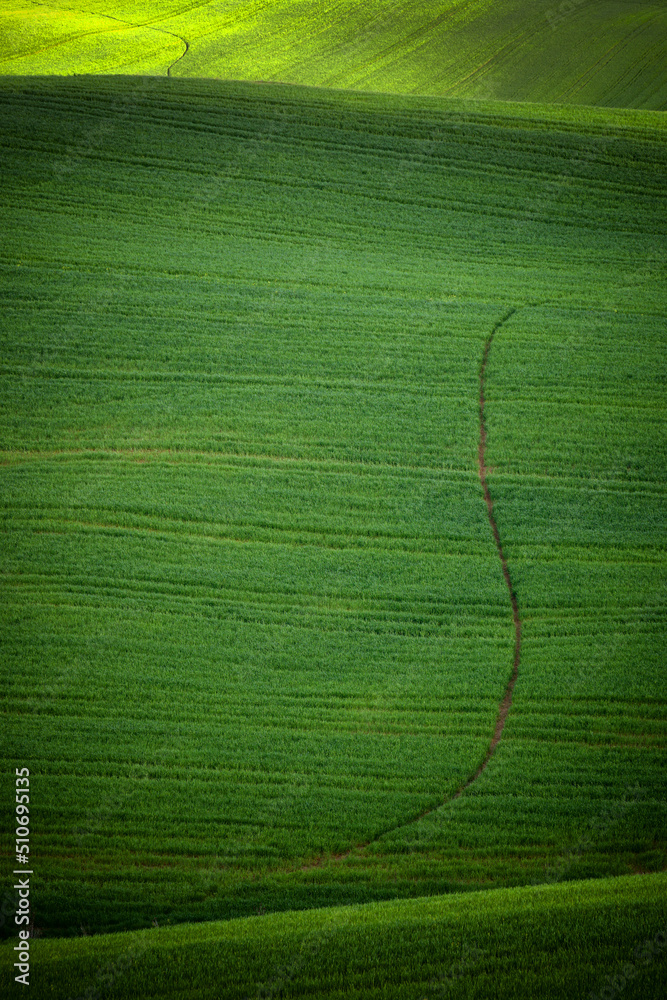 Wall mural typical summer landscape in tuscany, italy, europe