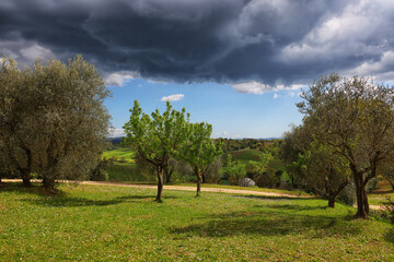 Fototapeta na wymiar Abstract landscape of Tuscany, Italy, Europe