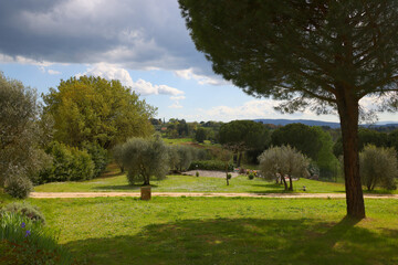 Summer landscape of Tuscany landscape, Italy, Europe