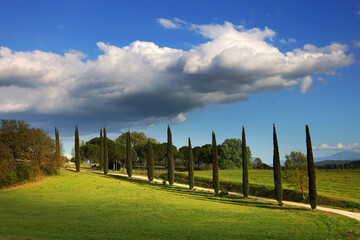 Fototapeta na wymiar Typical summer landscape in Tuscany, Italy, Europe