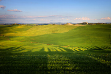 Summer rural landscape of rolling hills in Tuscany, Italy, Europe