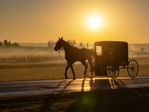 Lancaster County Amish Buggy at sunrise 