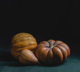 pumpkin on black background.Autumn squash vegetable. thanksgiving decoration.Variety pumpkin, traditional holiday object