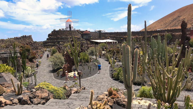 photographic image of the beautiful Jardin de Cactus, in Arrecife de Lanzarote. Canary Islands. Spain