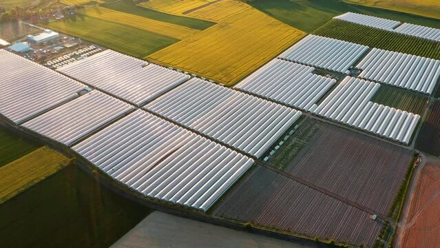 Top view of a greenhouse located among the fields, huge volumes of greenhouses for growing vegetables and fruits, a beautiful summer landscape at sunset flying over the fields