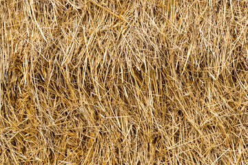 Details close up shot of Wheat Haystack in farmer field, Pattern background texture