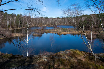 Beautiful lake in the botanical garden Gothenburg, Sweden!! Vitsippsdalen