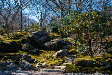 Beautiful Hobbit stairs at botanical garden in Gothenburg, Sweden!