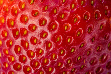 Strawberry macro with detail