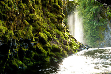 Sahalie Falls McKenzie River West Cascades Oregon Sunray