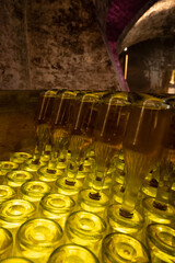 Sparkling wine production by traditional method in underground cellars in Vienna, Austria