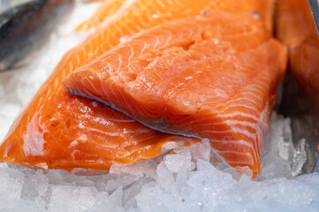 Organic wild scottish fish salmon cleaned on ice on market