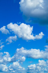 Beautiful summer blue sky. Fluffy white cumulus clouds.
