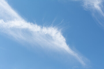 Ciel. Cirrus, nuages en forme de filaments.