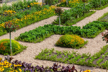 Au potager - Planches de culture de légumes entourée d'allée de forme géométrique