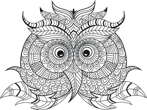 Mandala Coloring Owl Bird, Black and white hand drawn illustration for coloring book, Vector coloring cute own with floral pattern, owl black contour isolated on white background.