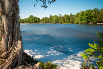 The glassy blue water of Crowe's Bridge Rapids near Campbellford, Ontario is seen from a viewpoint behind a mature tree on a bright sunny day.