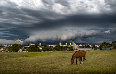 Storm Clouds, a horse in a storm over the city