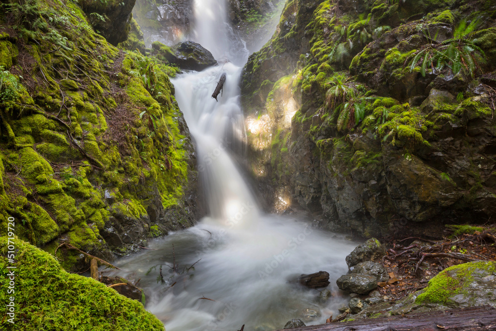 Canvas Prints waterfall in the forest