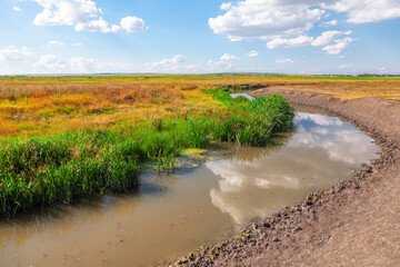 Small river with muddy water . Dirty river shore 