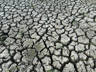 dry crack soil texture in country Thailand