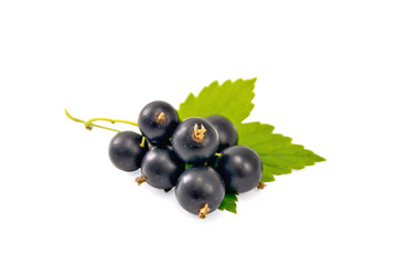 Blackcurrant berries with leaf