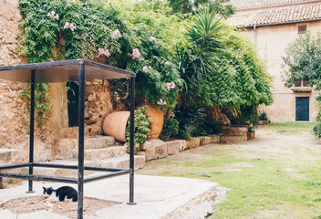 A cozy lawn in greenery and flowers. A sleepy cat rests peacefully. Majorca. Old building facade, Palma de Mallorca, Spain.