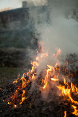 fogata