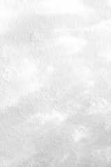 Rough texture painted white background