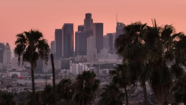 Aerial parallax effect b-roll drone establishing shot dark tall palm trees with skyscraper buildings under pink sky on motion background, USA Epic Los Angeles downtown view on pink cinematic sunset