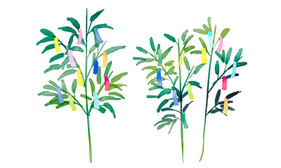 Fototapeta na wymiar 水彩画。水彩タッチの笹の葉イラスト。七夕の挿絵。笹の葉と短冊イラスト。Watercolor painting. Illustration of bamboo leaves with watercolor touch. Tanabata illustration. Illustration of bamboo leaves and strips of paper.