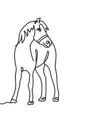 continuous line drawing - horse